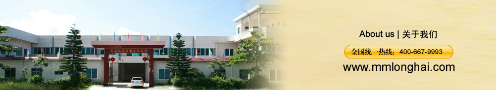 襄阳技师学院,襄阳市高级技工学校